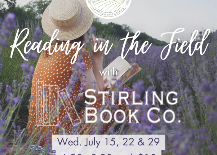 Person with straw hat reading book sitting in field of lavender