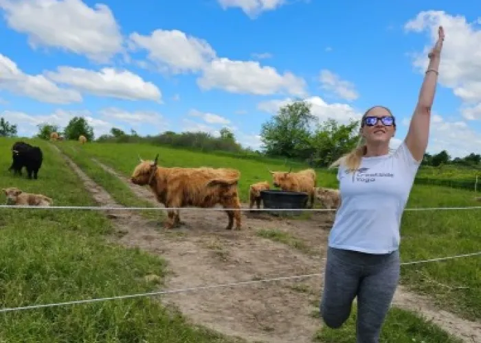 Blue sky with clouds, a person holding a yoga pose in front of a highland cow